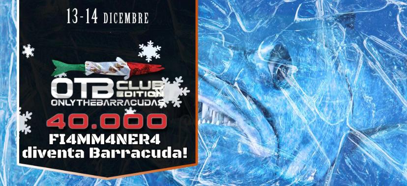 Barracuda Fiamma